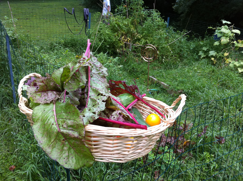 Messy Garden and Basket of Goodies