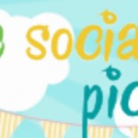The Social Picnic!