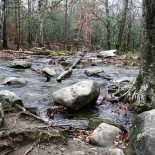 Great Smoky Mountain Stream Great Smoky Mountain Stream