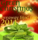 Eco Friendly Christmas Giveaway Hop