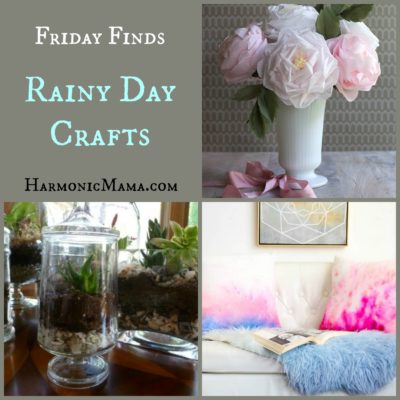 Images of three crafts for this weeks friday finds. Water color pillows, Terrarium and tissue paper roses.