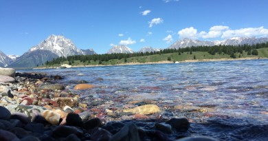 Beautiful view of Jackson Lake in Grand Teton National Park and the stones in the water with the mountains in the background.