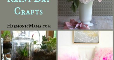 Images of three crafts for this weeks friday finds. Water color pillows, Terrarium and tissue paper roses.